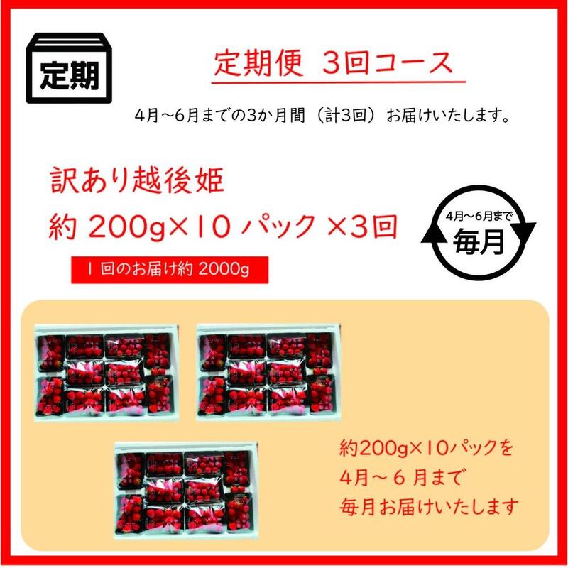 先行予約  定期便 3回【4～6月発送】訳あり越後姫 約200g×10定期配送 越後姫 えちごひめ 苺 いちご 訳あり 新潟 苺の花ことば