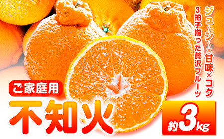 ご家庭用 不知火 約3kg (2月中旬-3月中旬頃出荷) デコポン と同品種