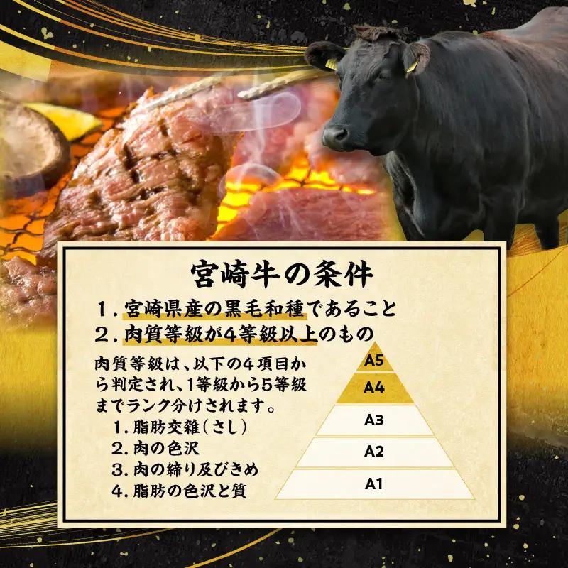 宮崎牛・宮崎県産豚・ハンバーグが毎月届く！ミヤチク堪能定期便(総重量10.4kg) 牛肉 ハンバーグ 焼肉 しゃぶしゃぶ