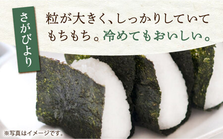 【さがの米 食べ比べ】令和5年産 新米 さがびより 夢しずく 白米 計10kg ( 5kg×2種 )【五つ星お米マイスター厳選】特A評価 特A 特A米 米 お米 佐賀 [HBL002]