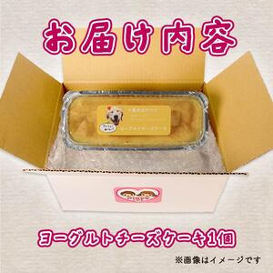愛犬用 ヨーグルト チーズケーキ 1個  無添加 犬用