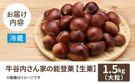【先行予約】牛谷内農園の能登栗（大粒）～低温熟成させたあま～い能登栗～【2025年9月末以降順次発送】/ 能登半島 奥能登 くり 生栗 マロン 和栗 焼き栗 栗ごはん 焼き栗 国産 果物 