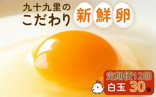 【定期便12回】九十九里ファームこだわりたまご贈答用30個～あおい海・みどりの里～《白玉》 30個 たまご 卵 玉子 タマゴ 定期便 12回 卵かけご飯 新鮮 旨み 甘み 贈答用 贈答 ギフト 贈り物 千葉県 匝瑳市