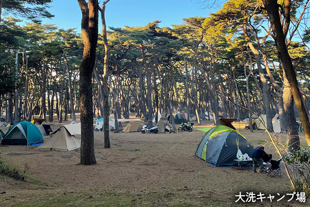 大洗 キャンプ場 クーポン券 9000円分（1000円×9枚） 大洗サンビーチキャンプ場 大洗キャンプ場 チケット 利用券 アウトドア 旅行_CC003