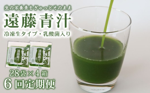 【6回定期便】 遠藤青汁 【生】 冷凍 4箱 11.2kg(100g×112袋) | 健康 美容 乳酸菌 国産 ケール ビタミン ミネラル 食物繊維 冷凍 ロングセラー お試し青汁 遠藤青汁 新鮮 高知県 南国市