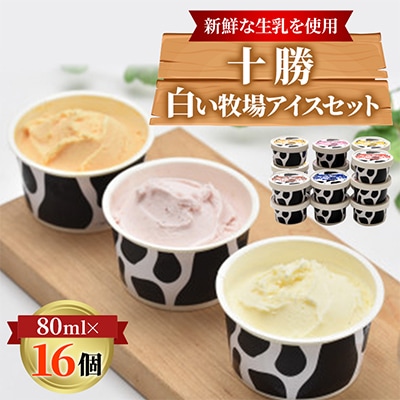 十勝白い牧場 アイス セット 6種16個(バニラ ストロベリー チョコ チーズ メロン ハスカップ)【配送不可地域：離島】