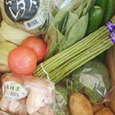 【ふるさと納税】 【定期便6回】野菜 セット 詰め合わせ やさい 旬 季節 キャベツ 玉ねぎ きゅうり なす トマト じゃがいも とうもろこし ブロッコリー アスパラガス 大根 香川県 丸亀市