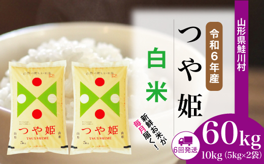 ＜令和6年産米＞ 令和7年2月下旬より配送開始 特別栽培米 つや姫【白米】60kg定期便(10kg×6回)　鮭川村