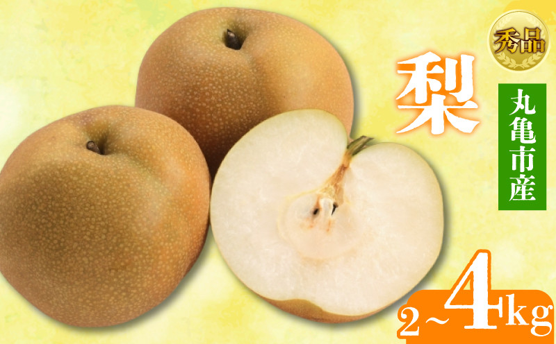 
            【2025年8月上旬より順次発送】【秀品】梨  約2kg～約4kg 丸亀産 ナシ 果物 フルーツ 果肉 果汁 季節 甘い デザート ゼリー ジュース ふるさと納税フルーツ 香川県 丸亀市
          