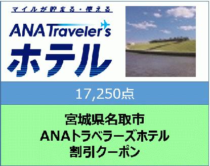 宮城県名取市　ANAトラベラーズホテル割引クーポン（17,250点分）