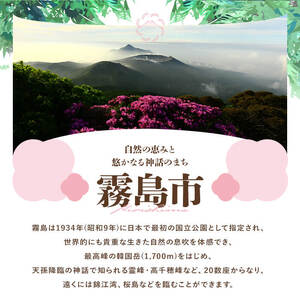 K-416 鹿児島県霧島市の対象ツアーに使えるHISふるさと納税クーポン(60,000円分)【エイチ・アイ・エス】霧島市 旅行 ツアー 観光 トラベル 旅 チケット 電子クーポン 旅行券