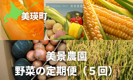 野菜定期便≪令和８年産予約受付！≫美景農園　野菜の定期便（５回）| 野菜定期便 [085-03]
