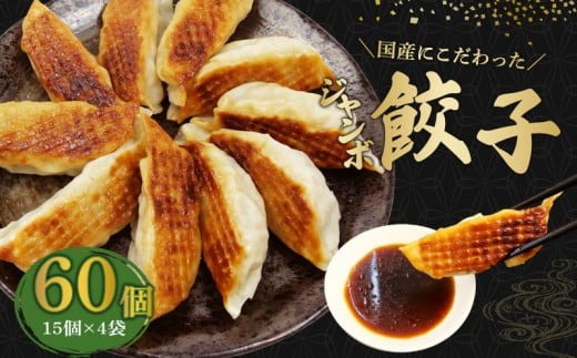 餃子 60個 ジャンボ  国産野菜 国産豚肉 冷凍 餃子 大きめ ぎょうざ ギョウザ ギョーザ おつまみ 冷凍食品 食品 惣菜 中華 惣菜 業務用 おかず ビール 藤枝