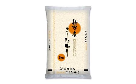 【定期便6ヶ月】新潟市産コシヒカリ 白米 5kg お米 精米 ご飯 代表 自然 飽きない 自信 美味しい 