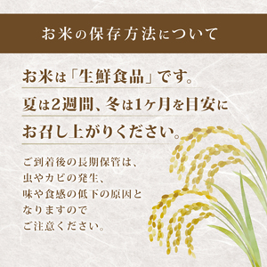 新米 令和7年産 キヌヒカリ 5kg 白米 【KW001】 近江米 精米 新米