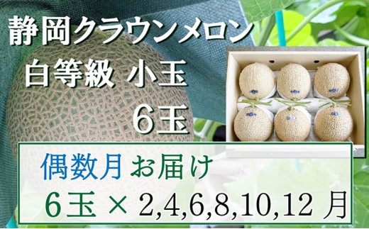 
【偶数定期便】クラウンメロン【並(白等級)】小玉(1.1kg前後)6玉入り
