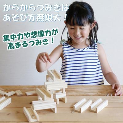 ふるさと納税 三股町 ビー玉ころがし　コロカラつみき(40p)&からからつみき54(80p)ビー玉付【B-1707】 |  | 01