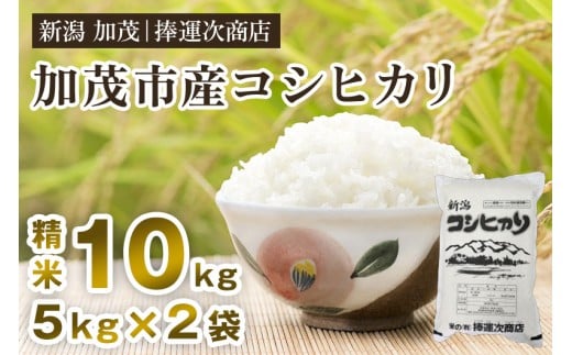 【令和6年産米】加茂市産コシヒカリ 精米 10kg こしひかり 新潟米 お米 白米 ライス ご飯 加茂市 捧運次商店