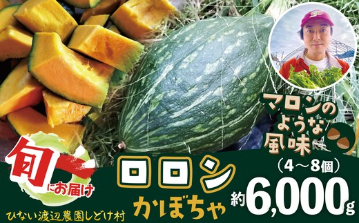 
                  カボチャ 旨味がトロけるロロンで幸せな一時を 6000g　160P3201 / 東北 秋田 大館 野菜 新鮮 農産物 農家 かぼちゃ カボチャ ロロン ろろん 農家直送 シチュー プリン
                