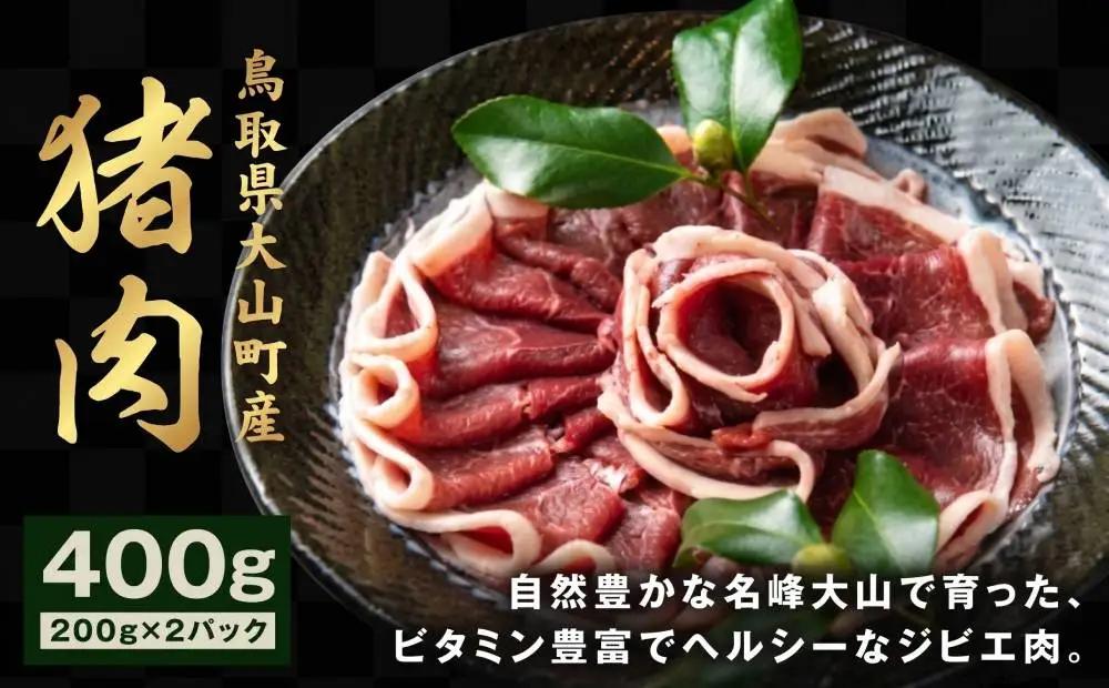 GB-01　猪肉モモ 400ｇ
