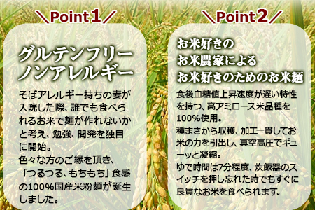 ＜高鍋の米粉麺「米仙人」 120g×10玉＞入金確認後、翌月末迄に順次出荷します。