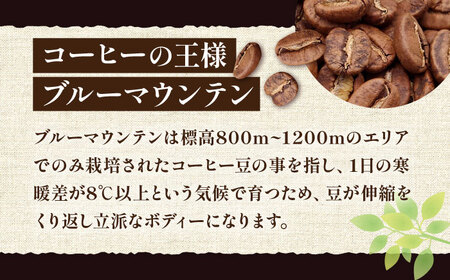 【全3回定期便】【ギフト用】ブルー マウンテン NO.1 ブレンド コーヒー ( 浅煎り )《豊前市》【稲垣珈琲】 珈琲 コーヒー 豆 粉[VAS170] コーヒー コーヒー飲料 コーヒータイム コー