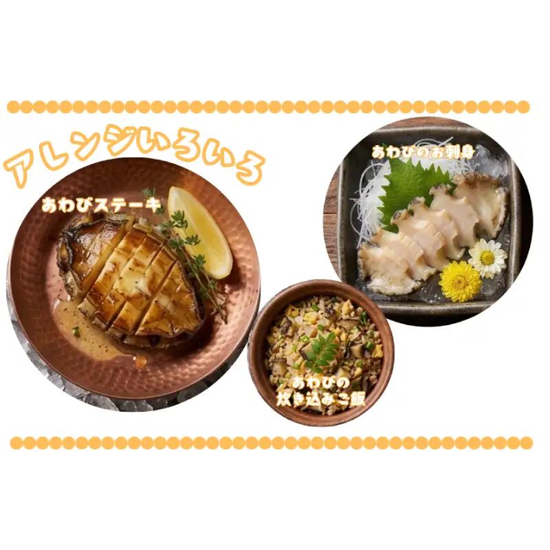 あわびセット （ あわび ＆ 艶煮 ） 計12枚 下関 山口 《さわ水産：SW》