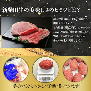 新発田牛ハンバーグ 5個 惣菜 惣菜 惣菜 惣菜 惣菜 惣菜 H21_02