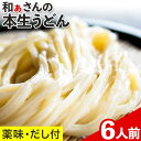 【ふるさと納税】【贈答用】讃岐うどん おうどんセット 6人前 和ぁさん家、株式会社栄工製作所 《90日以内に出荷予定(土日祝除く)》 うどん 麺 生麺 生うどん 本格 手作り 和食 ご家庭用 こだわり お手軽 ギフト セット 薬味 だし付き 徳島県 美馬市