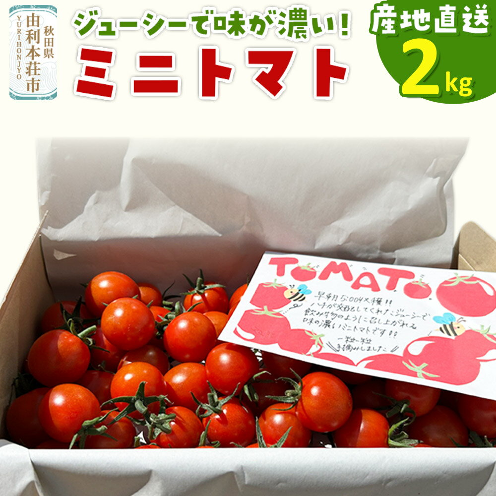 【ふるさと納税】《先行受付》8月上旬〜9月下旬発送 ミニトマト 2kg 秋田県 由利本荘市