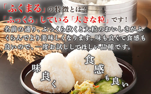 220-1【令和7年産】茨城町産 無洗米 ふくまる 10kg(5kg×2袋)【野口ライス】