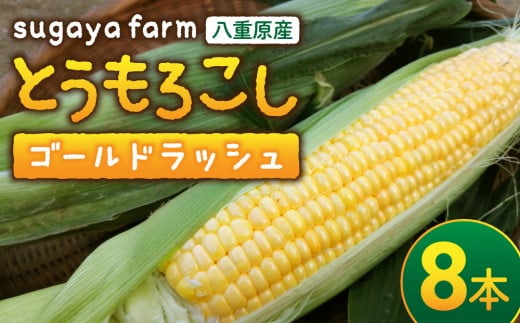 【sugaya farm】とうもろこし（ゴールドラッシュ）８本セット
