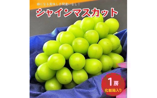 ぶどう（シャインマスカット）１房　化粧箱入り　0010-2502