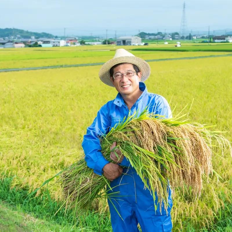 パックごはん 【令和7年産】特別栽培米 伊賀米真空パックセット 2合（300g）×3【nsym0005】