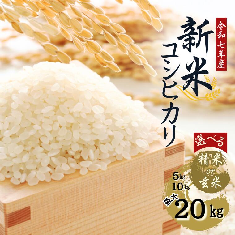 【ふるさと納税】《令和7年産》水野農園の加須市北川辺産 コシヒカリ 5kg 10kg 20kg（精米または玄米）数量限定お米 新米 米 令和7年 こしひかり