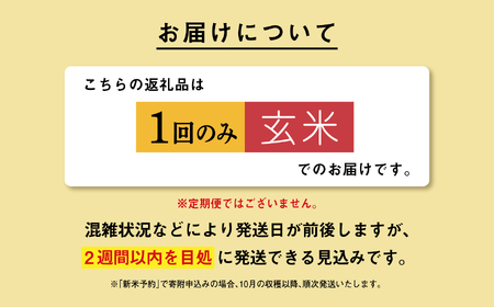 《先行予約》 玄米 あきたこまち 令和7年産 20kg(5kg×4)  5kg袋 小分け 米 グルメ ふるさと こめ コメ 一人暮らし  【秋田のこまち農場】