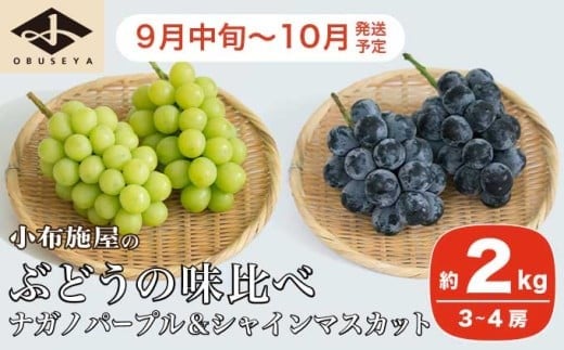 高級ぶどう味比べ詰合せ ナガノパープル ＆ シャインマスカット 約2kg 3～4房 ［小布施屋］ 果物 フルーツ ぶどう 葡萄 詰め合わせ セット 食べ比べ 令和8年産【2026年9月中旬～10月発送】［C-1］