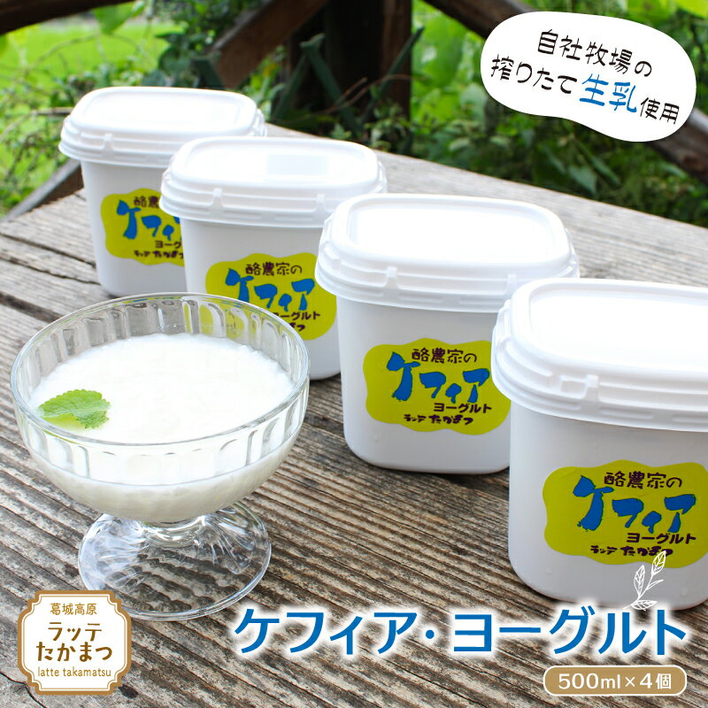 【ふるさと納税】ケフィア・ヨーグルト500ml×4個 ／ 葛城 高原 牧場 ケフィア ヨーグルト【latt011】