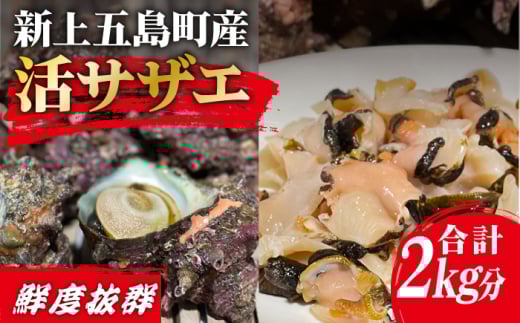 【その日に獲れたものをその日に発送！】 鮮度抜群 新上五島町産 活サザエ 殻付き1kg+殻付き1kg分のスライス【ひまわり】 [RBK002]