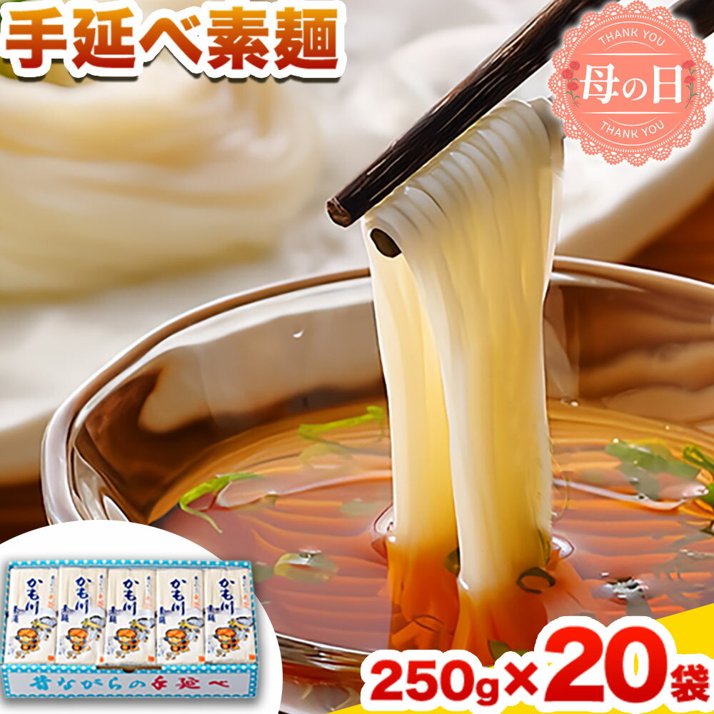【ふるさと納税】そうめん 素麺 ソーメン 手延べ素麺 250g×20袋 5kg かも川手延素麺株式会社《30日以内に発送予定(土日祝除く)》岡山県 浅口市 紙箱入 お土産 送料無料