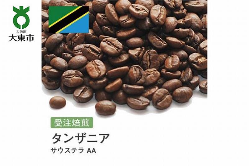 [豆]#84 受注焙煎！310g タンザニア サウステラ AA 珈琲豆 コーヒー豆 自家焙煎  BG211