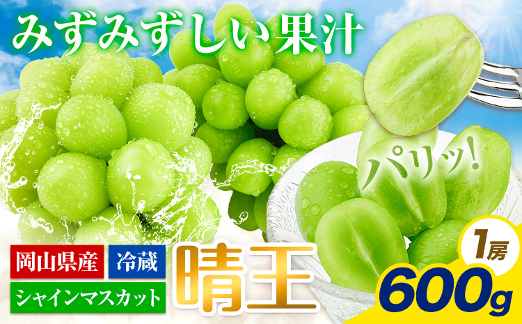 【2025年先行予約受付】ぶどう シャインマスカット 晴王 600g 岡山県産《7月上旬-9月中旬頃出荷》 ハレノフルーツ マスカット 送料無料 岡山県 浅口市 フルーツ 果物 国産 岡山県産 くだも