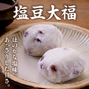 塩豆大福 15ヶ入 山形県 東根市 松扇堂提供 hi040-004 餅 もち モチ 豆 小豆 赤えんどう豆 和菓子 お菓子 餅類 ご褒美 おやつ 手作り ふるさと納税 山形県 東根市 人気