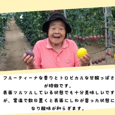 【2025年5月頃から順次発送】国頭村産パッションフルーツ1kg(10〜12玉)【1616926】