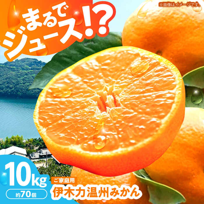 【ふるさと納税】※【2026年1月(令和8年)発送分／先行予約】伊木力温州みかん 10kg（ご家庭用）/ みかん ミカン 蜜柑 フルーツ 果物 / 諫早市 / 末永果樹園 [AHBD001]
