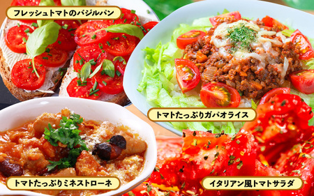 定期便 ≪12ヶ月連続お届け≫ フルーツミディトマト 約1kg × 12回 トマト 野菜  [m37-g001]