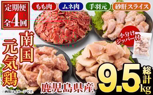 
            ＜定期便・全4回(隔月)＞鹿児島県産！南国元気鶏 もも肉・ムネ肉・手羽元・砂肝スライス定期便(総計9.5kg) 国産 九州産 鹿児島産 モモ肉 鶏モモ むね肉 胸肉 鶏ムネ 手羽元 砂肝 小分け 定期便 おかず おつまみ【さるがく水産】akn028-43
          