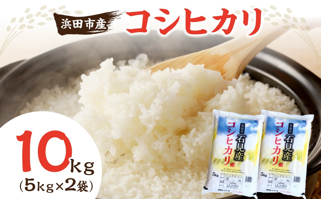 
                  浜田市産コシヒカリ10kg (5kg×2袋) 米 お米 コシヒカリ ご飯  新生活 浜田市産 【197_1968】
                