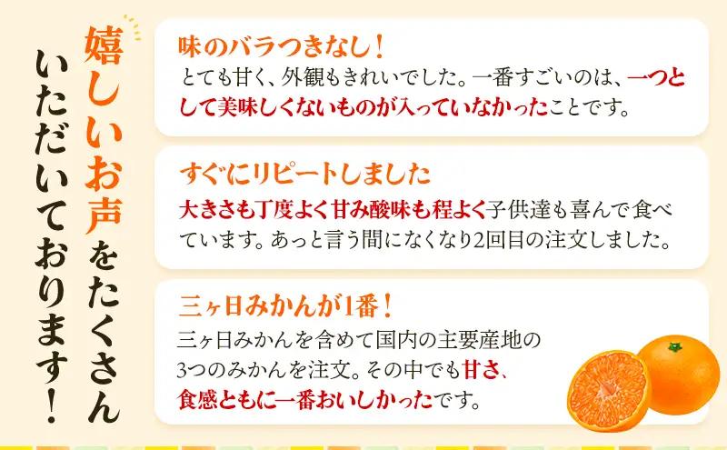 みかん 三ヶ日 5kg 青島 M〜2L 果物 フルーツ みかん