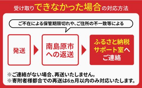 【長崎本場の味】スープ付 ちゃんぽん 4食 / 長崎ちゃんぽん 麺 とんこつ / 南島原市 / こじま製麺 [SAZ005]